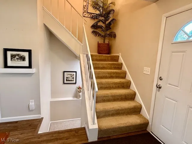 Stairway to basement and upstairs featuring baseboards and LVP dark walnut finished floors in foyer.