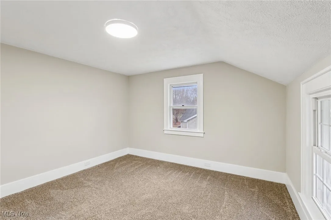Additional living space with carpet floors, lofted ceiling, and a textured ceiling