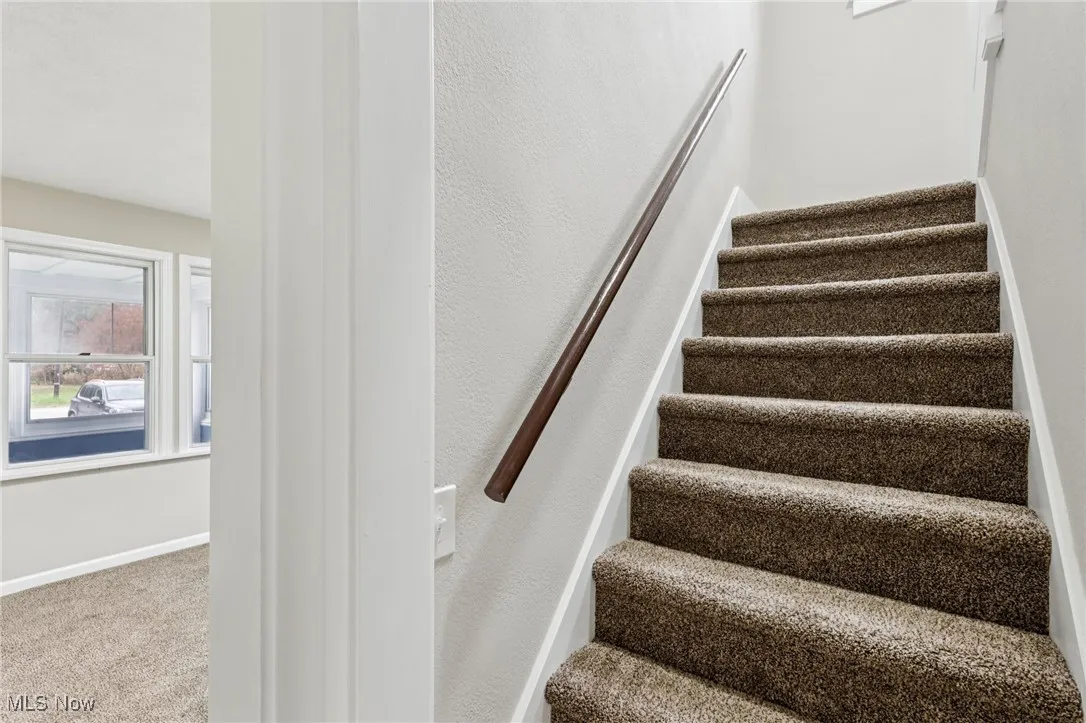 Stairs with carpet flooring and plenty of natural light