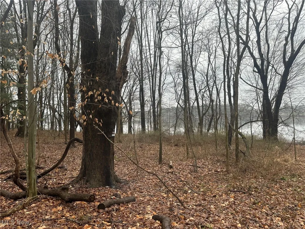 View of undeveloped land