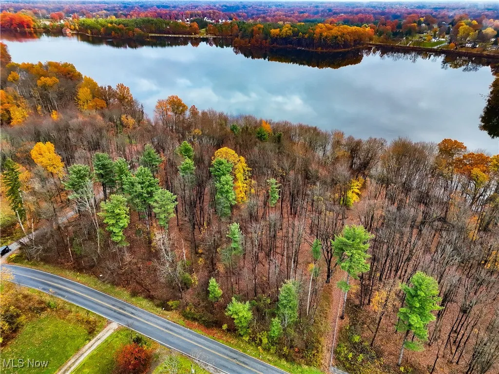 Bird's eye view of a forest