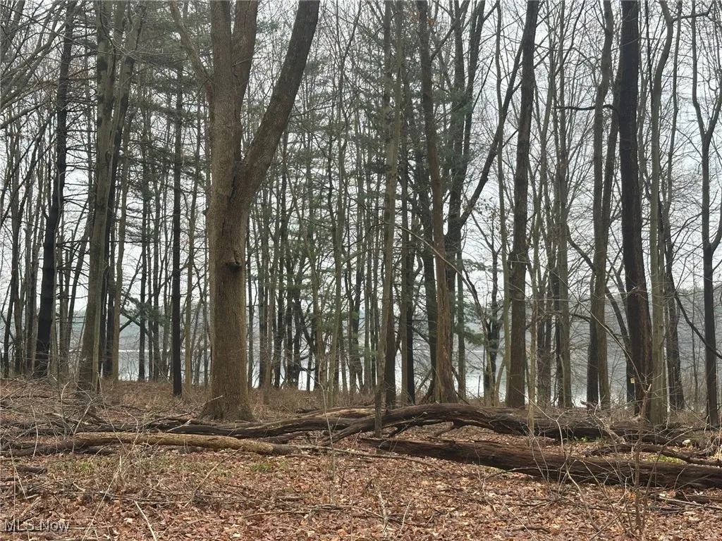 View of undeveloped land