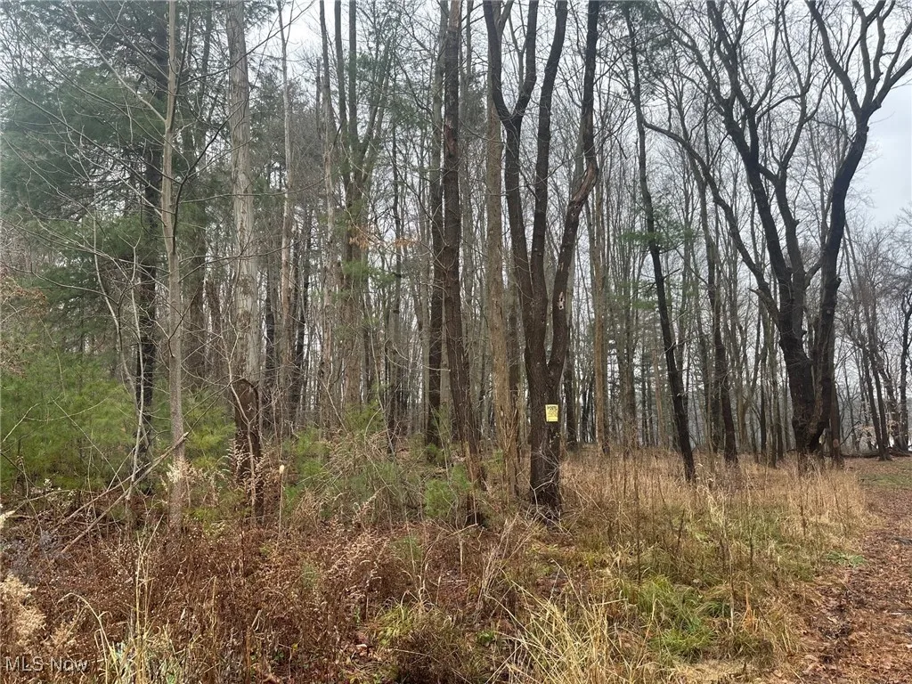 View of undeveloped land
