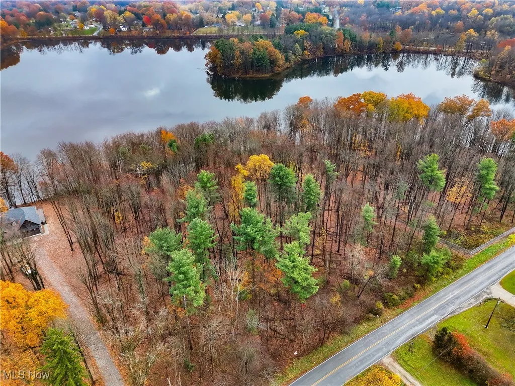 Drone / aerial view of a large body of water and a forest