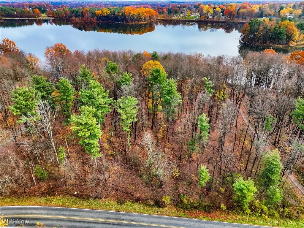 Drone / aerial view of a forest and a nearby body of water