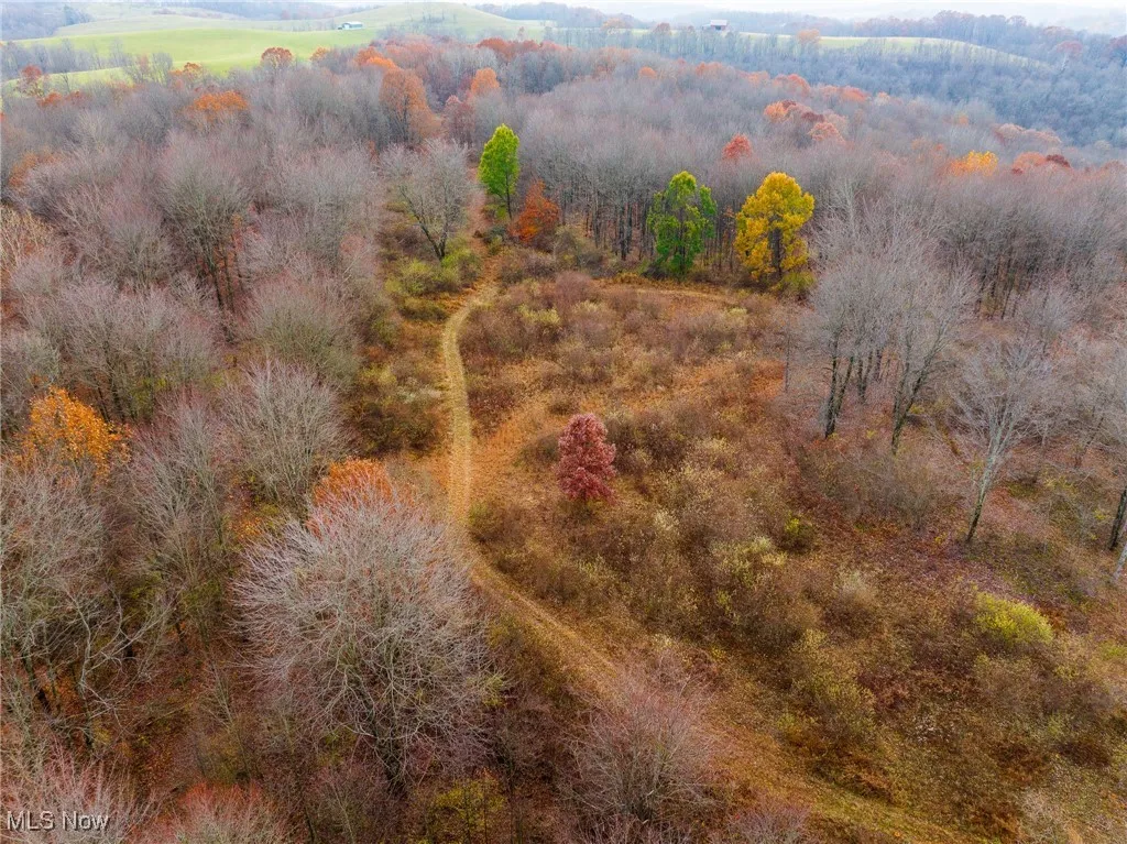 Aerial view of a heavily wooded area
