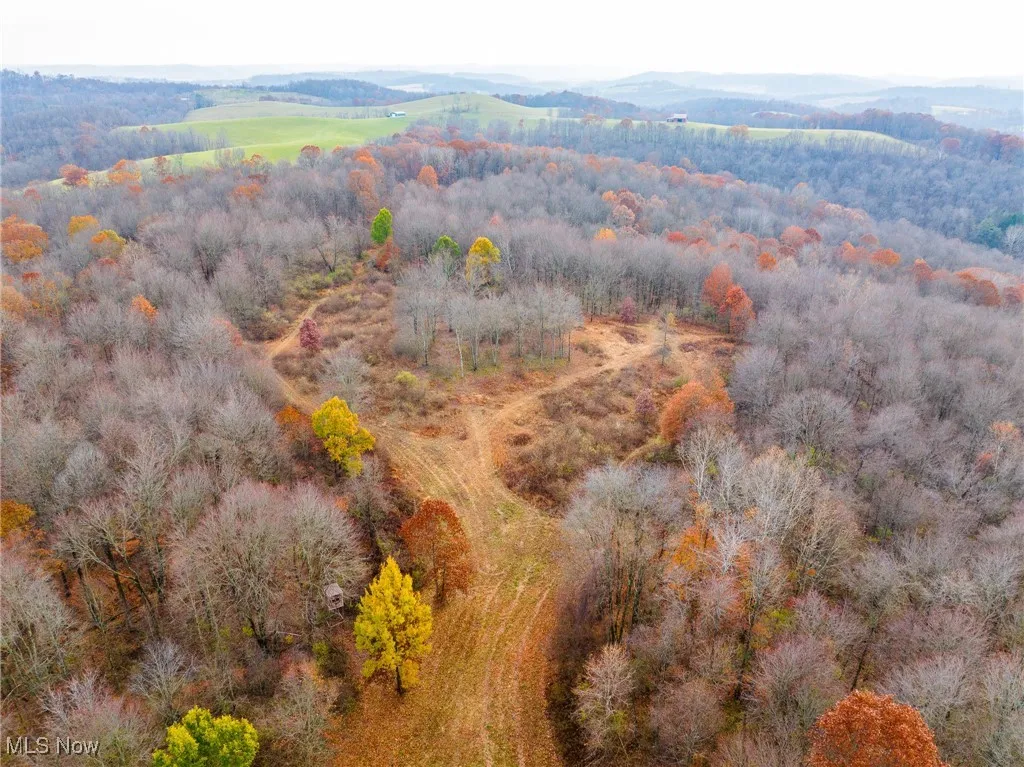 Bird's eye view of a heavily wooded area