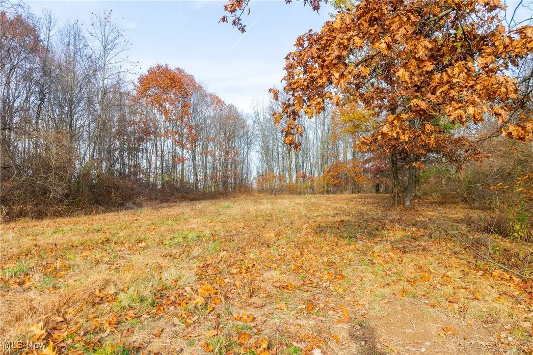View of undeveloped land