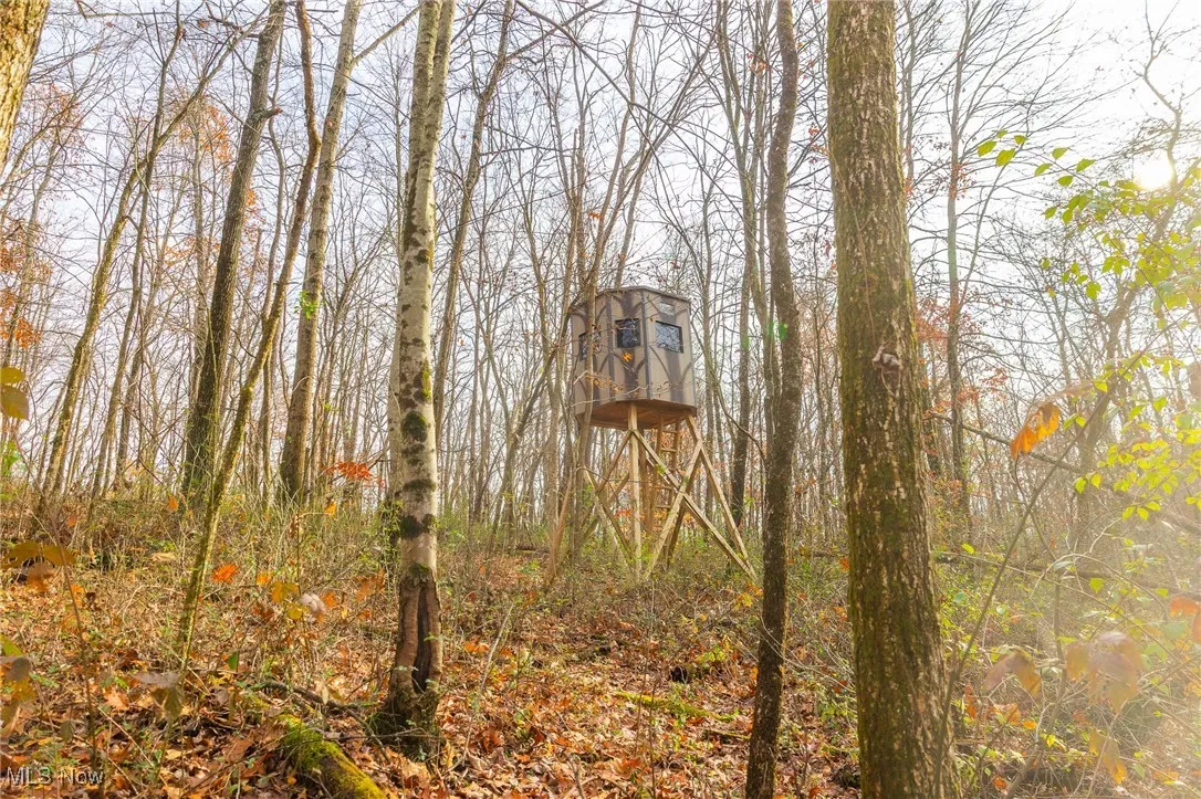 View of undeveloped land