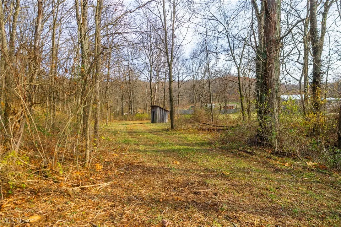 View of yard featuring a storage unit and a wooded view