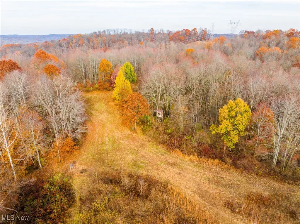 Aerial view of a heavily wooded area