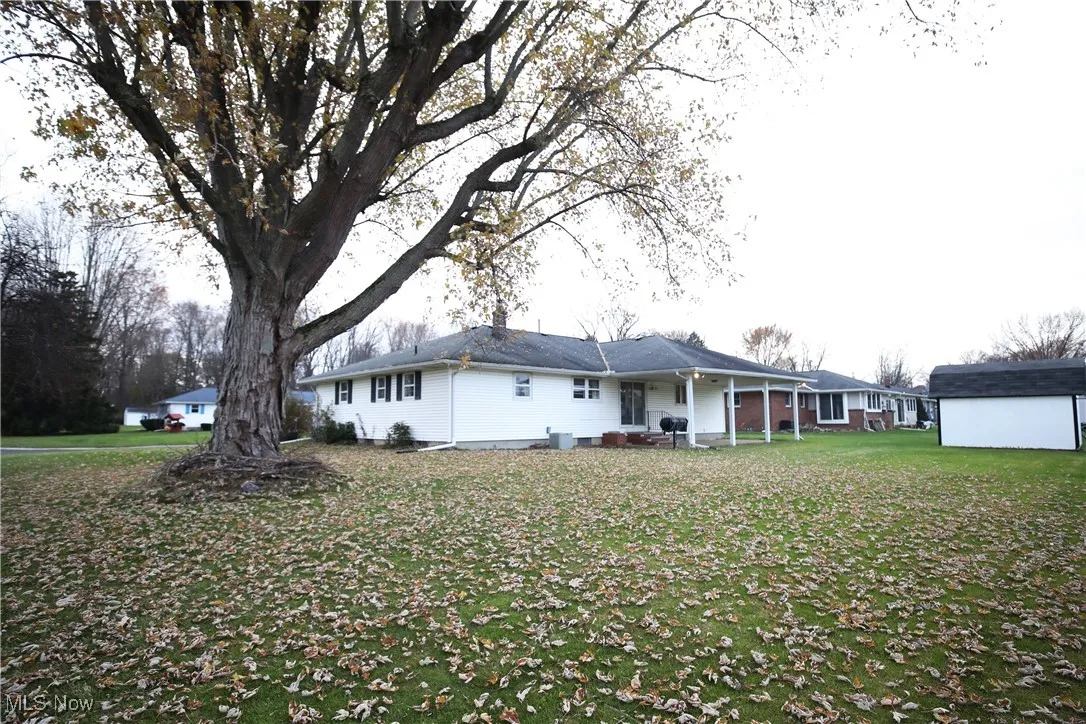 Rear view of house with a patio and a yard