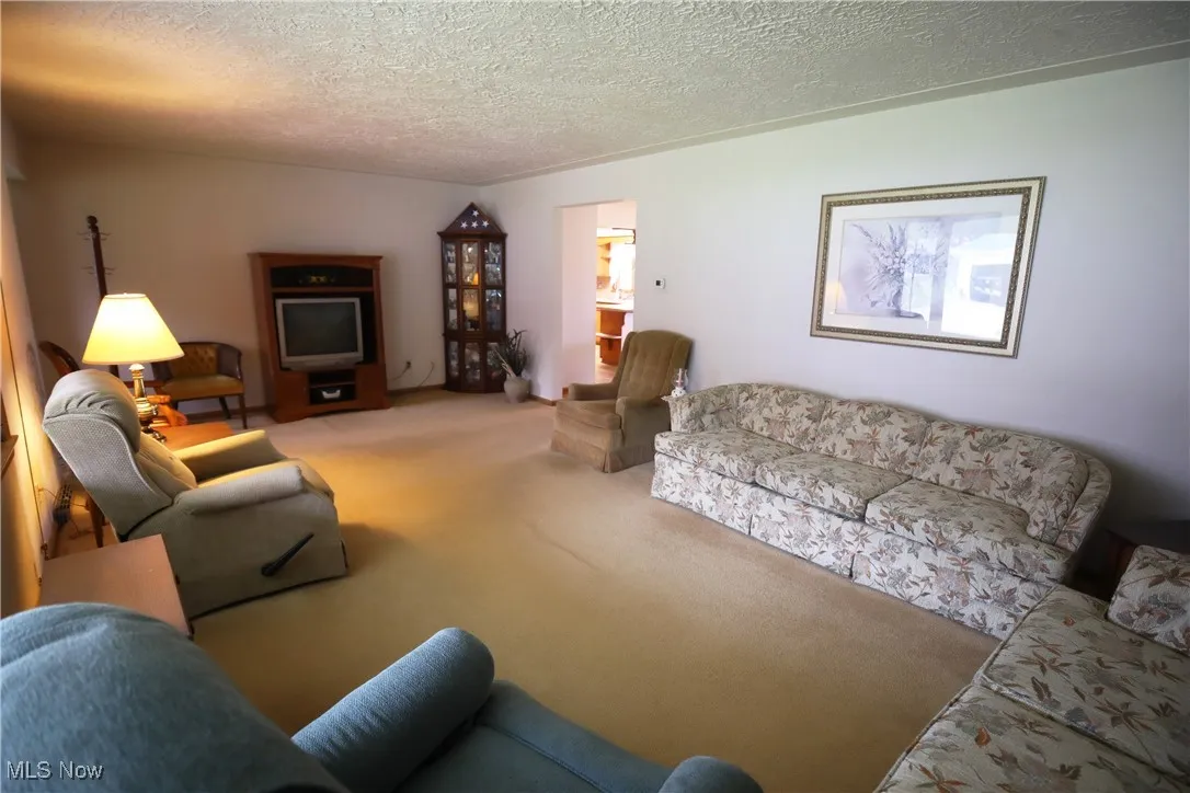 Carpeted living room featuring a textured ceiling