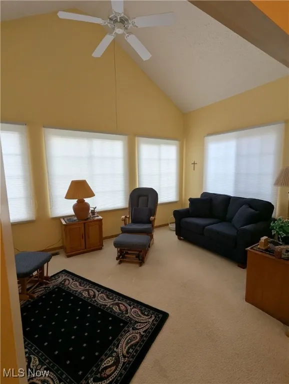 Sun room with custom blinds and ceiling fan