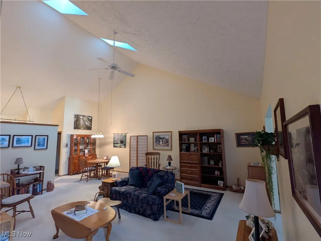 Living Room with skylights
