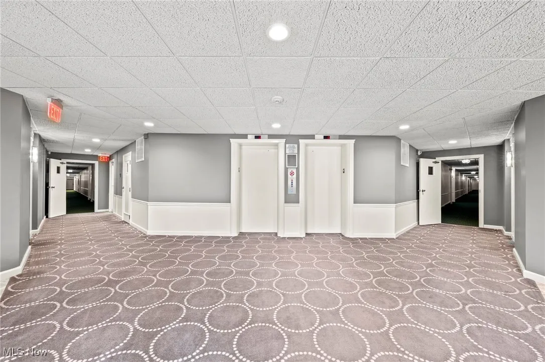 Hallway with a drop ceiling, recessed lighting, elevator, and carpet floors