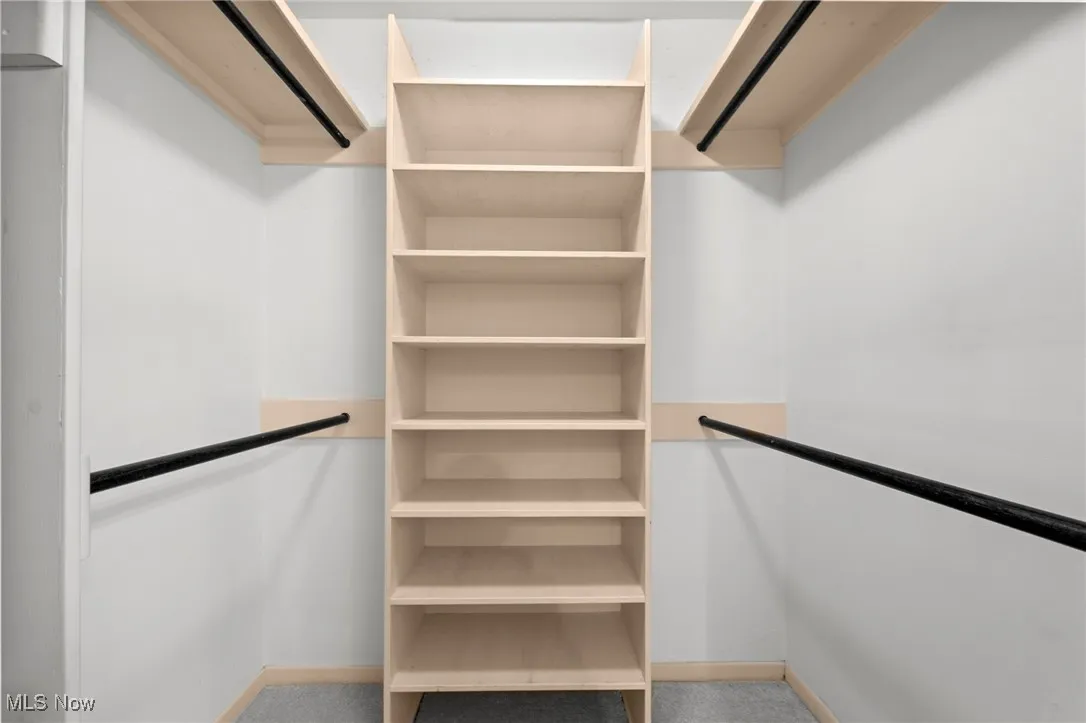 Walk in closet with carpet