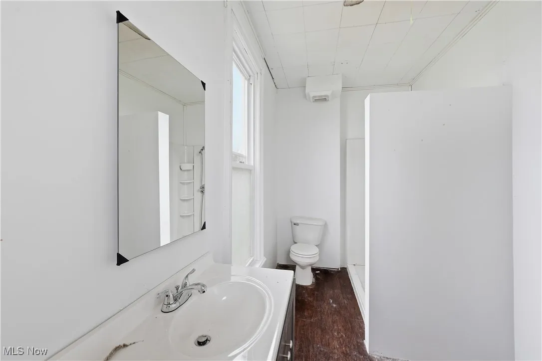 Bathroom featuring vanity, dark wood-style flooring, and walk in shower