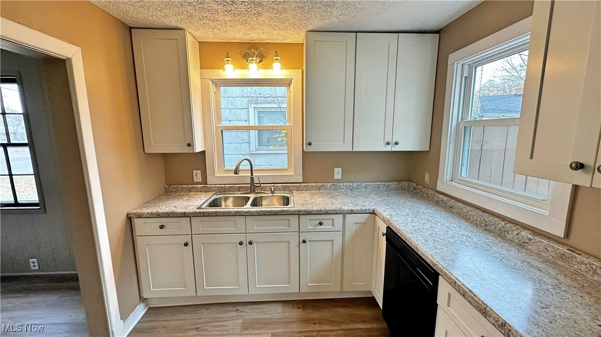 More view of the ample counter space and new sink