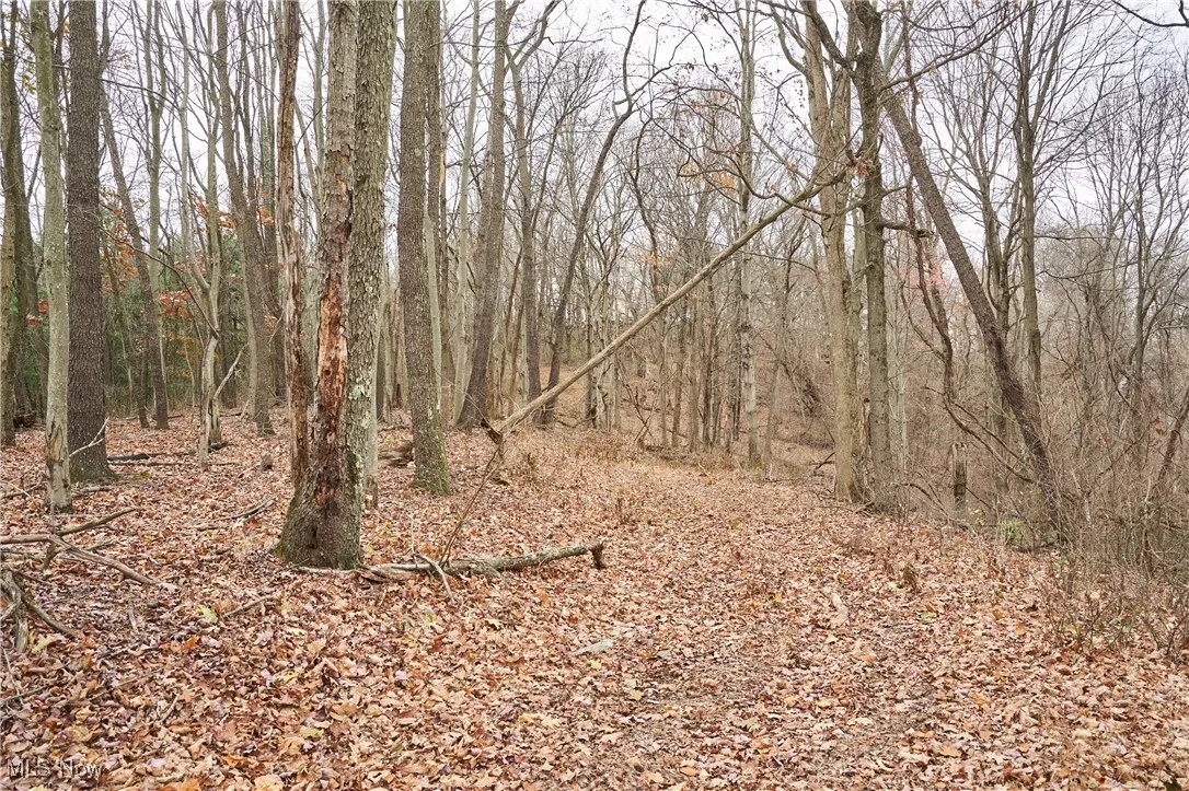 56835 Stephens Road, Jacobsburg, Ohio 43933,MLS Now Listing ID