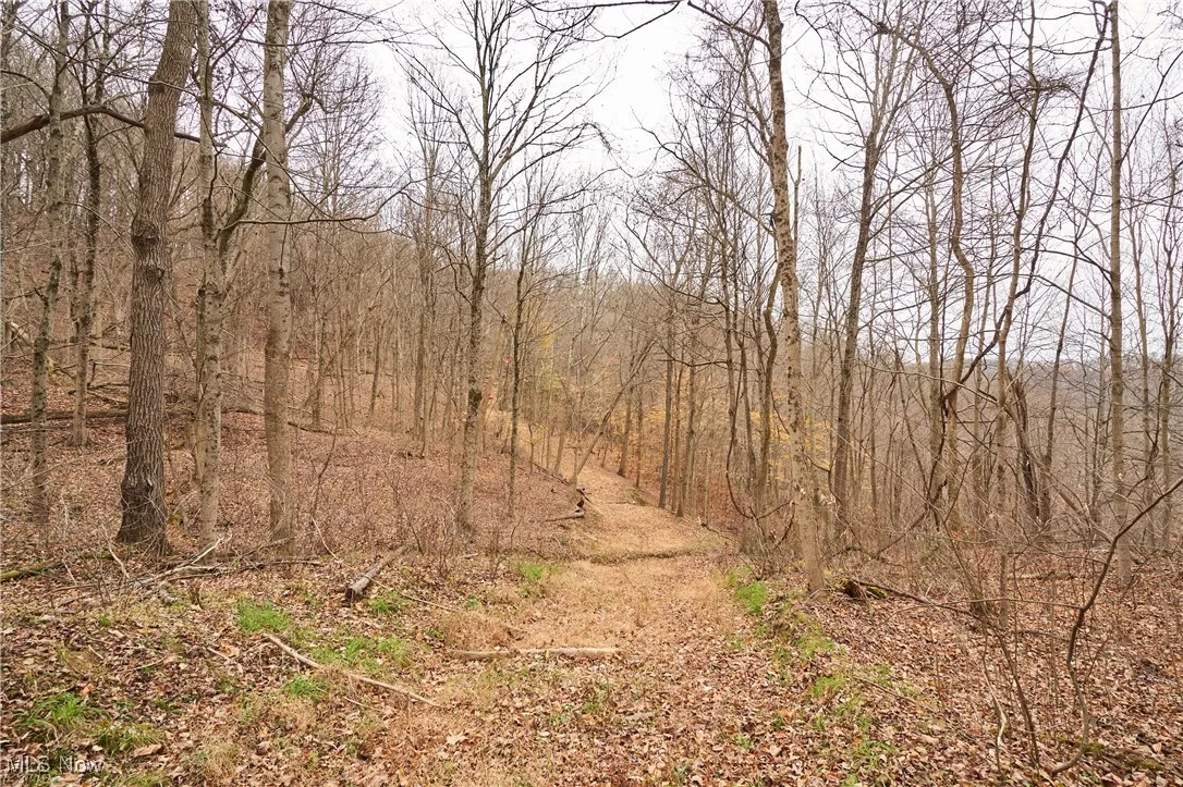 56835 Stephens Road, Jacobsburg, Ohio 43933,MLS Now Listing ID