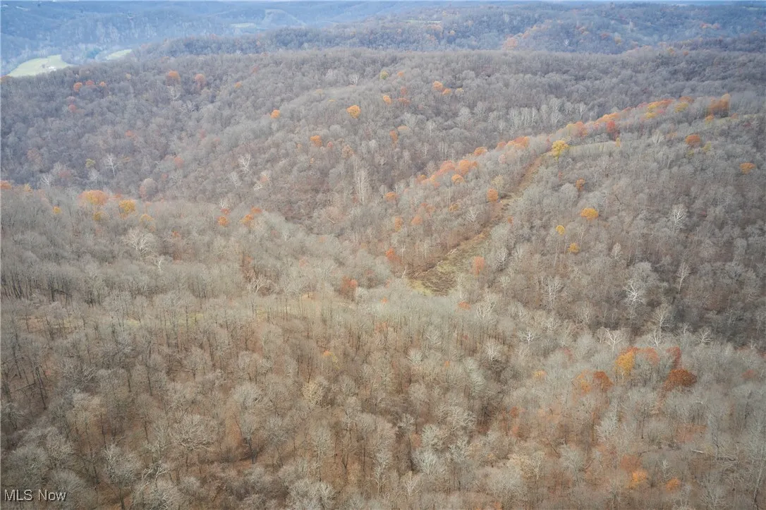 56835 Stephens Road, Jacobsburg, Ohio 43933,MLS Now Listing ID