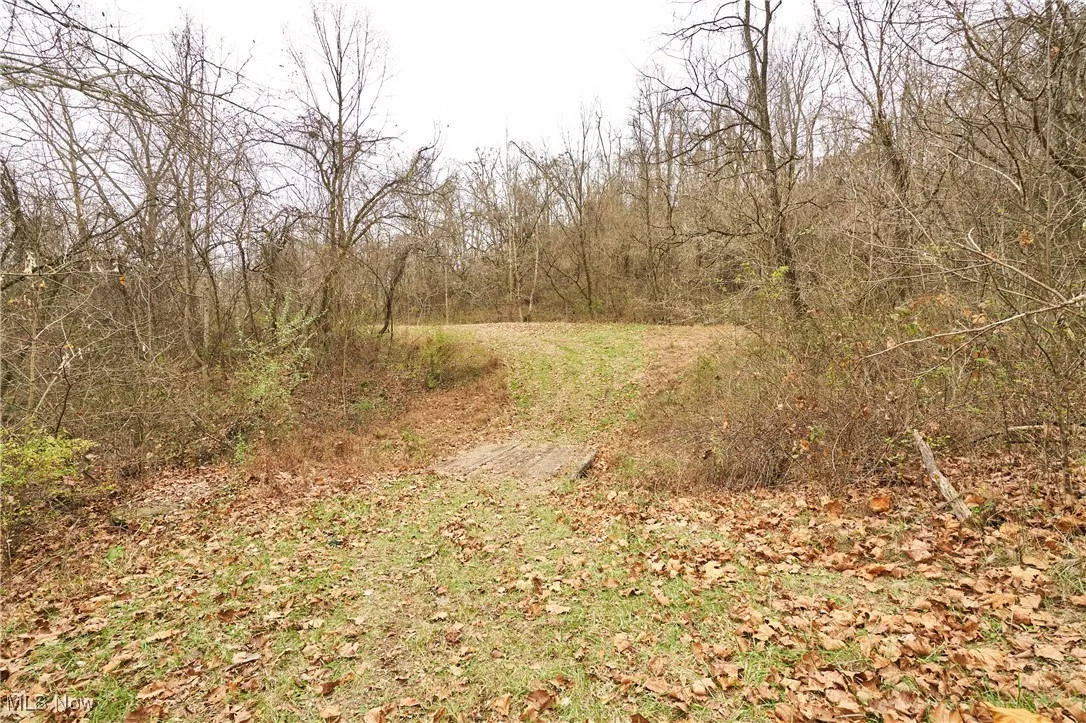 56835 Stephens Road, Jacobsburg, Ohio 43933,MLS Now Listing ID