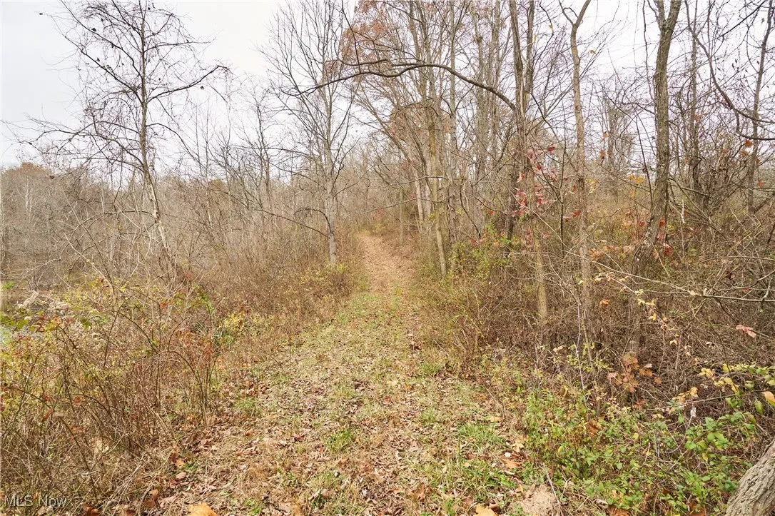 56835 Stephens Road, Jacobsburg, Ohio 43933,MLS Now Listing ID