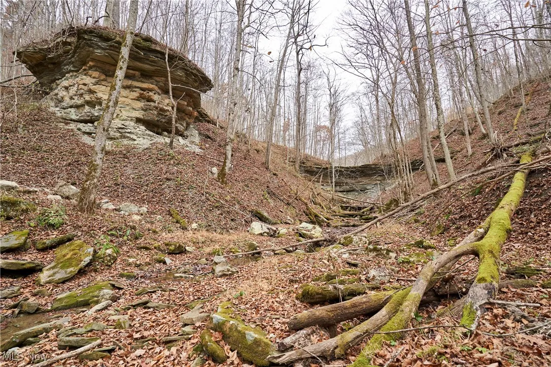 56835 Stephens Road, Jacobsburg, Ohio 43933,MLS Now Listing ID