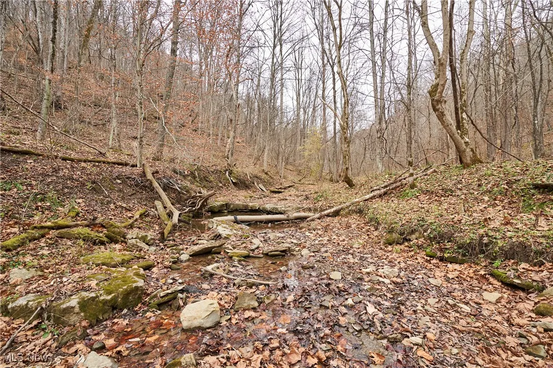 56835 Stephens Road, Jacobsburg, Ohio 43933,MLS Now Listing ID