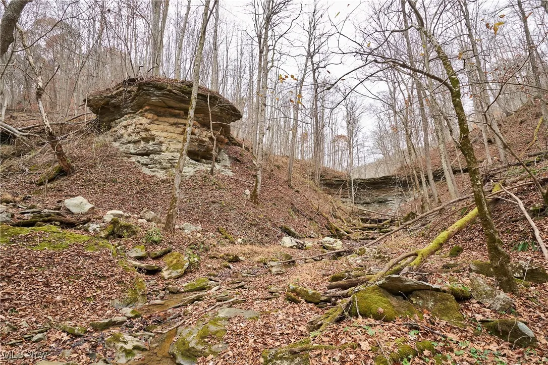 56835 Stephens Road, Jacobsburg, Ohio 43933,MLS Now Listing ID