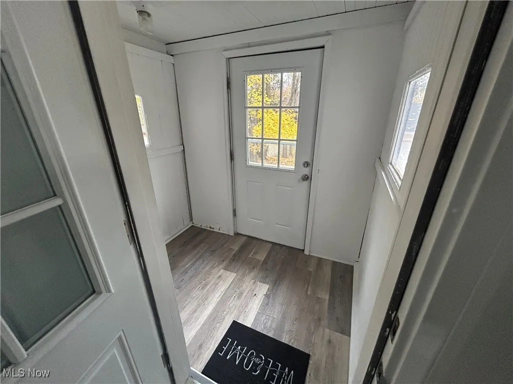 Back entryway with LTV  floors
