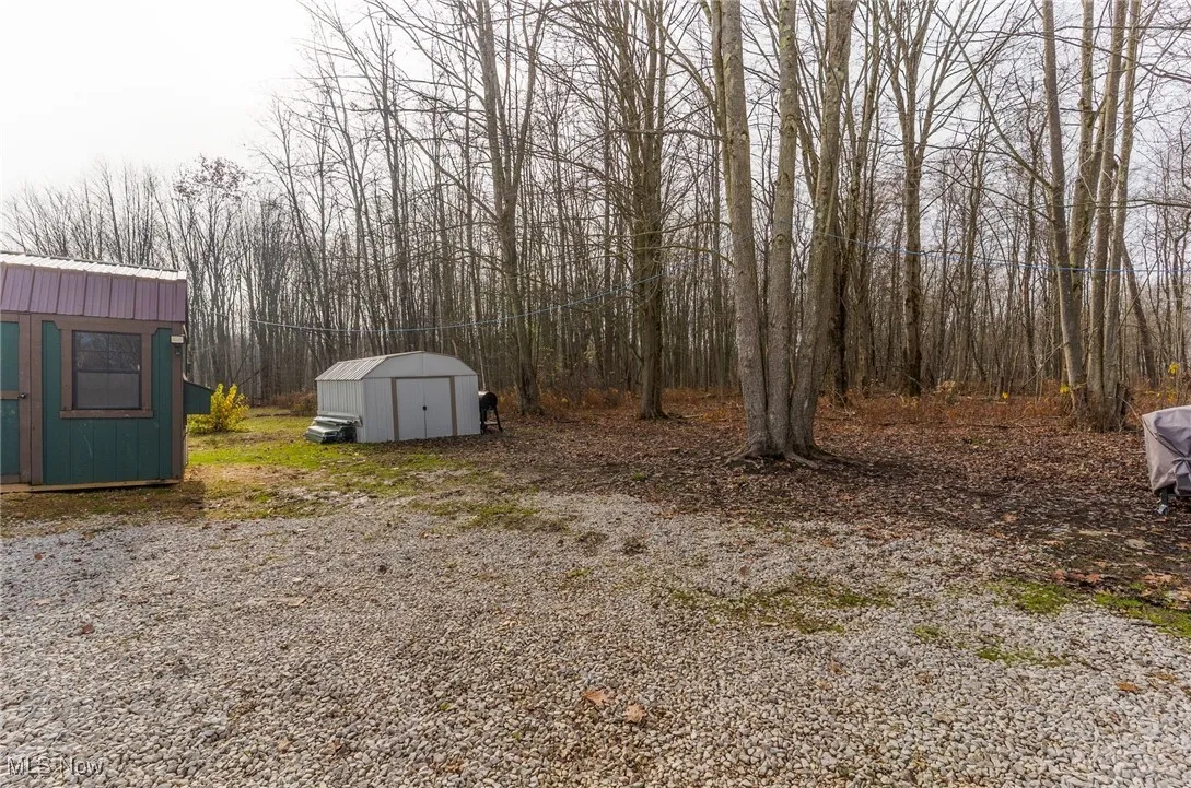 View of yard featuring a shed