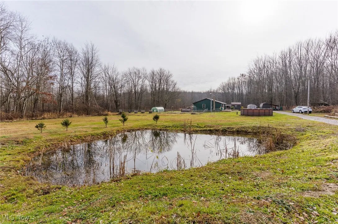 Water view with a forest