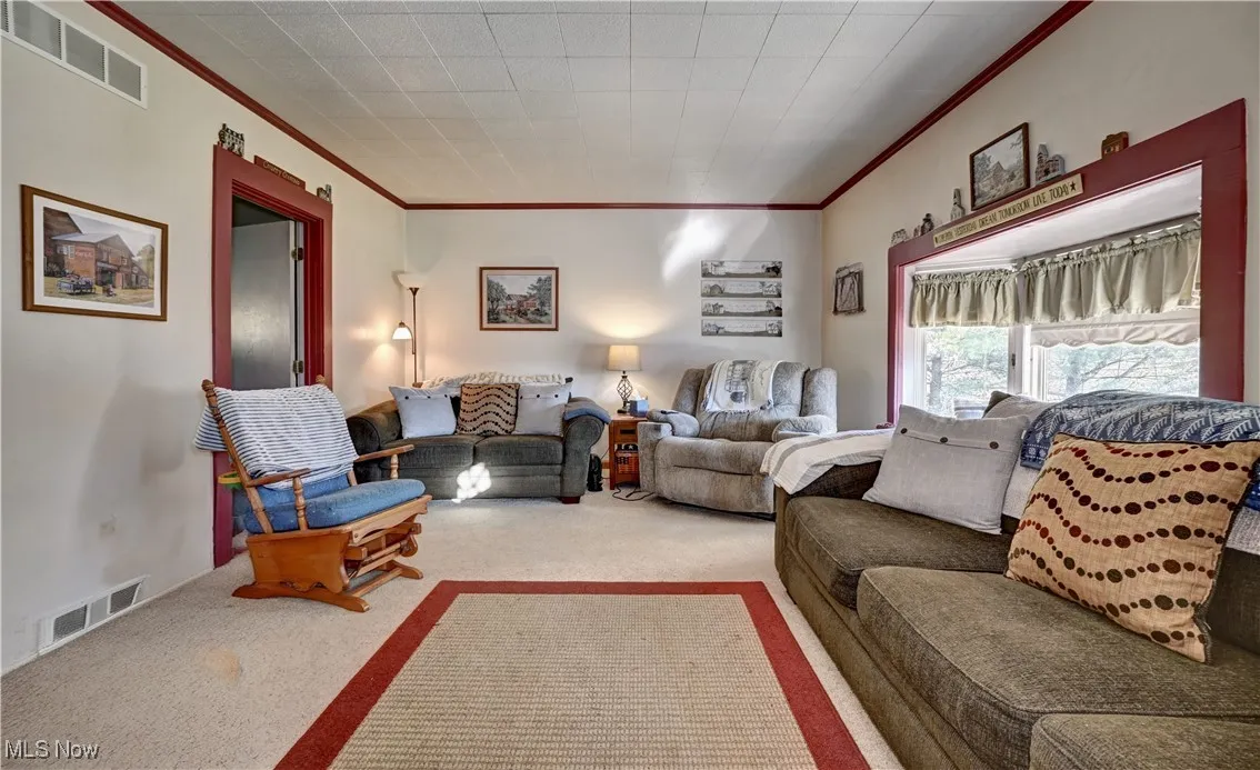 Living area featuring carpet and ornamental molding