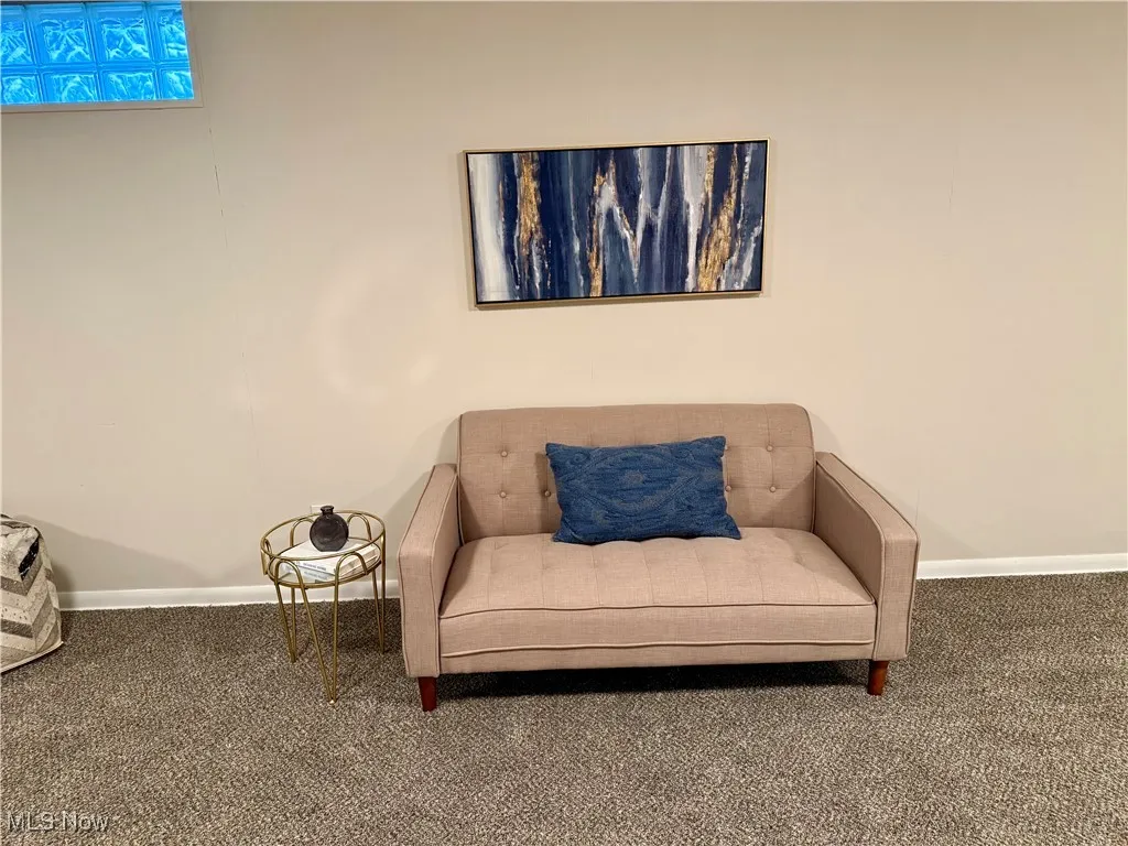 Living area featuring carpet floors