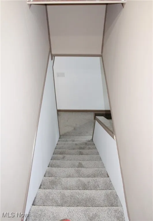 Stairs featuring carpet
