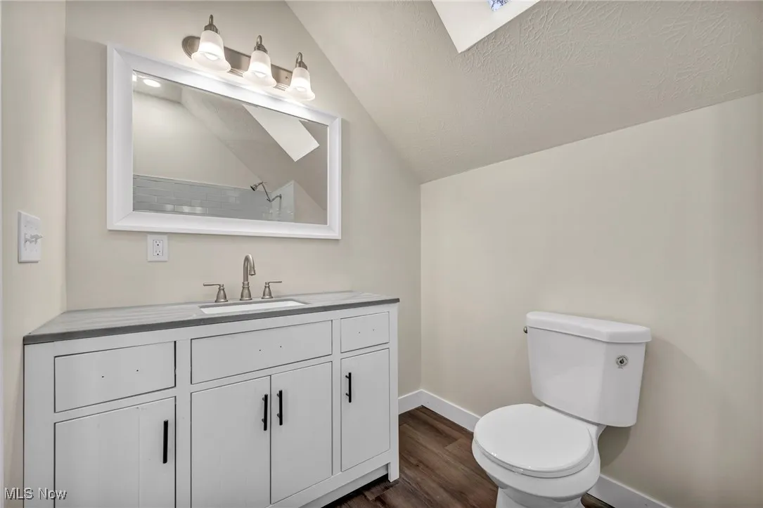 Bathroom with vanity, a skylight, vaulted ceiling, dark wood-type flooring, and a shower