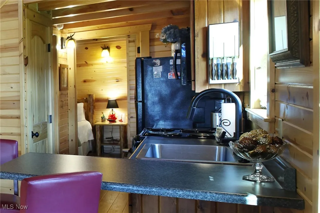Kitchen featuring dark countertops, freestanding refrigerator, and wooden walls