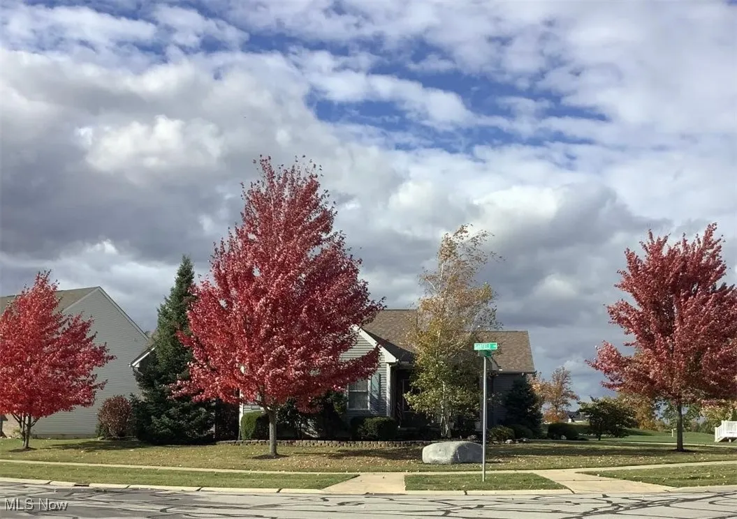 607 Rundle Street, La Grange, Ohio 44050,MLS Now Listing ID