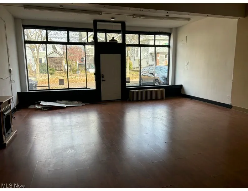 Spare room with healthy amount of natural light, radiator, and dark wood-style floors