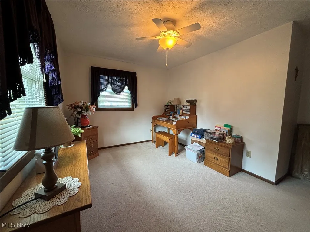 11838 Brosius Road, Garrettsville, Ohio 44231,MLS Now Listing ID