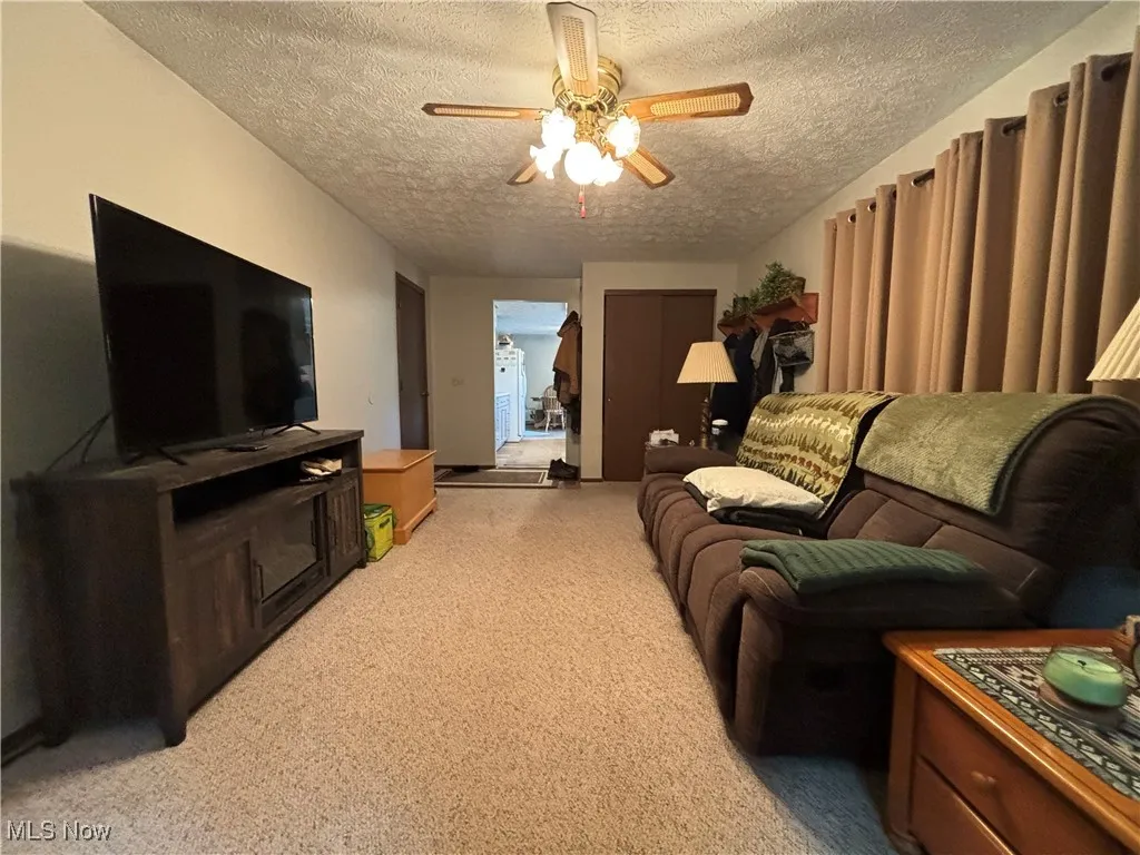 11838 Brosius Road, Garrettsville, Ohio 44231,MLS Now Listing ID