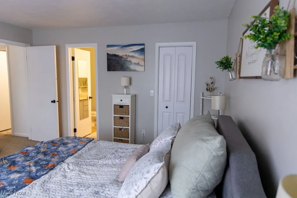 Bedroom with carpet flooring, a closet, and connected bathroom