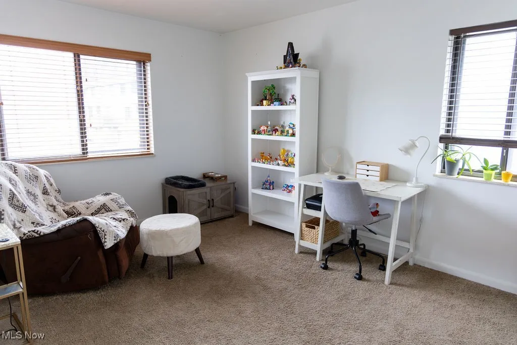 Office space with light carpet and plenty of natural light