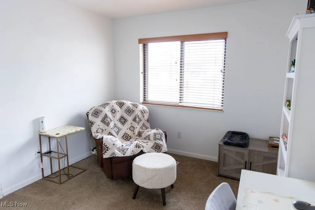 Sitting room with carpet flooring