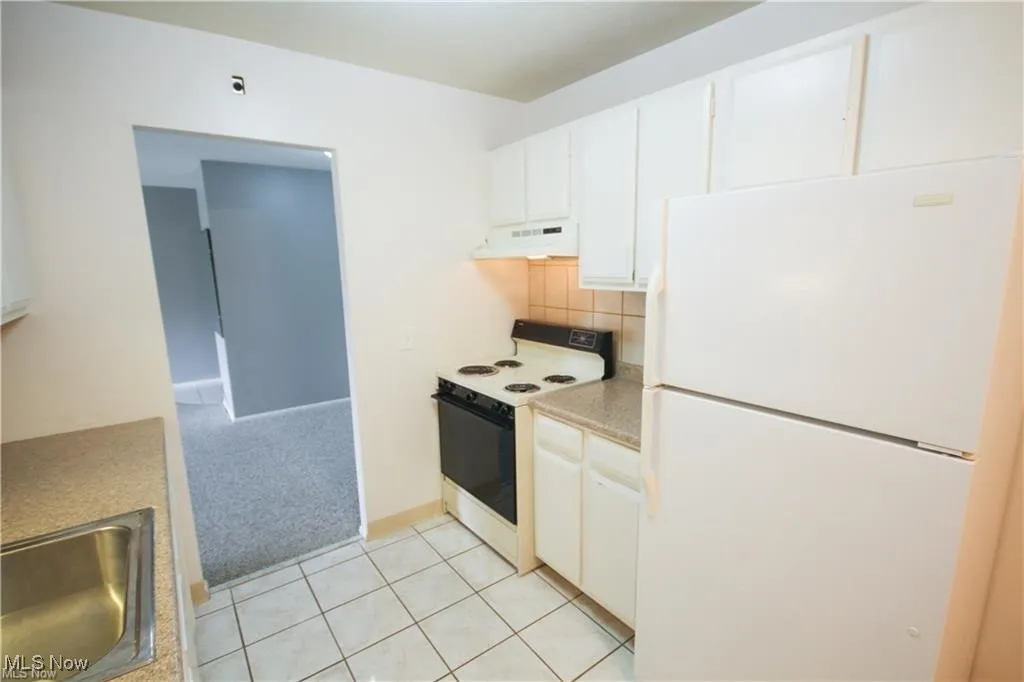 20333 Detroit Road # 505, Rocky River, Ohio 44116,MLS Now Listing ID