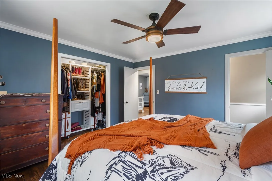 Bedroom featuring crown molding, ceiling fan, wood finished floors, and a walk in closet
