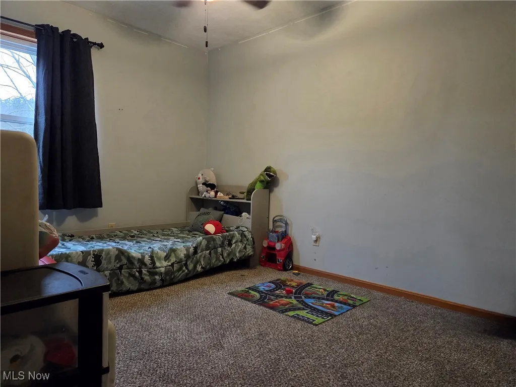 1100 Fawn Road, Dellroy, Ohio 44620,MLS Now Listing ID