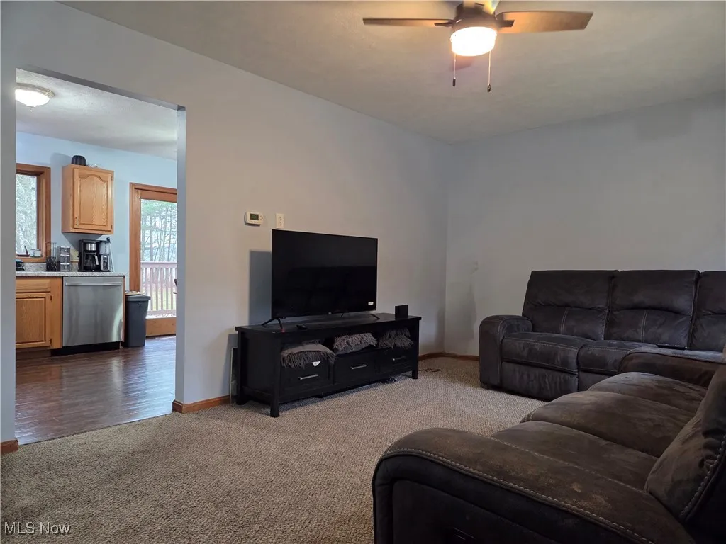 1100 Fawn Road, Dellroy, Ohio 44620,MLS Now Listing ID